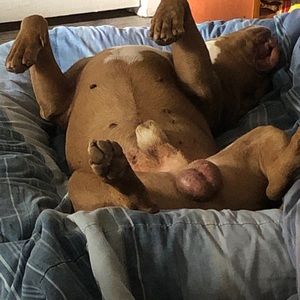 Meet your Posher, Juan